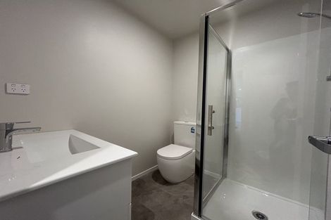 Photo of property in 45c Ryan Street, Phillipstown, Christchurch, 8011