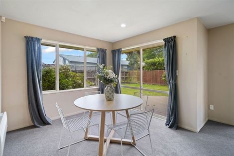 Photo of property in 22 Ballymena Drive, Belfast, Christchurch, 8051