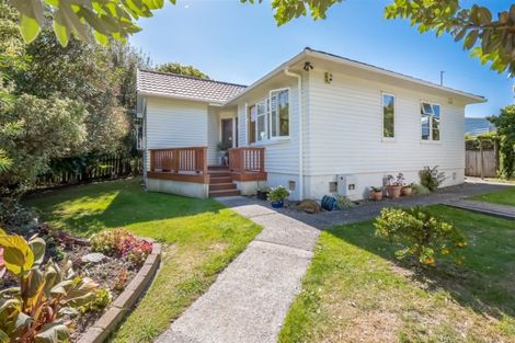 Photo of property in 217 Riverside Drive, Waterloo, Lower Hutt, 5011