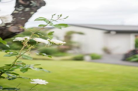 Photo of property in 123 Avenue Road, Greenmeadows, Napier, 4112