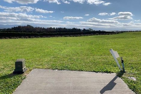 Photo of property in 20 Anglers Way, Omokoroa, 3114