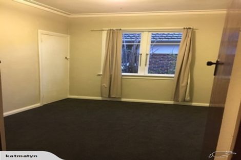 Photo of property in 125 Evans Street, Opoho, Dunedin, 9010