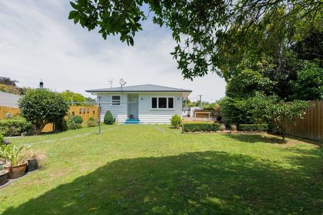 Photo of property in 25 Macarthur Street, Levin, 5510