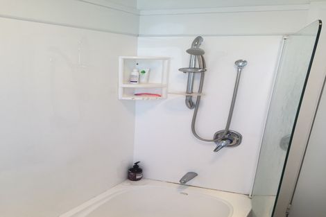 Photo of property in 253 Macandrew Road, Forbury, Dunedin, 9012