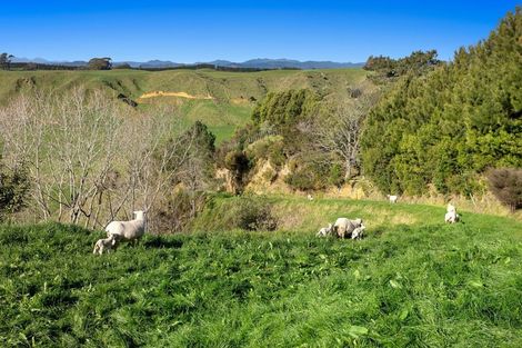 Photo of property in 333 Paerata Ridge Road, Waiotahe, Opotiki, 3198
