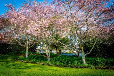 Photo of property in 489 Waiuku-otaua Road, Otaua, Waiuku, 2682