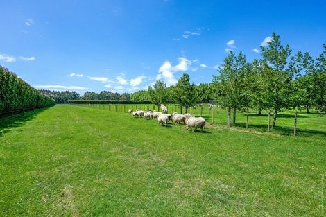 Photo of property in 86 Englishs Road, Lincoln, Christchurch, 7674