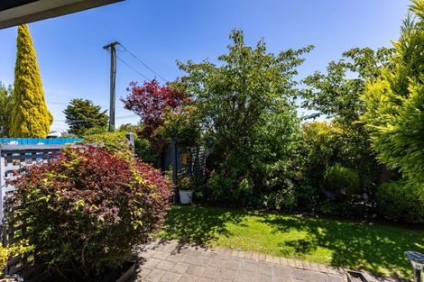 Photo of property in 172 Hospital Road, Witherlea, Blenheim, 7201