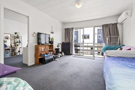 Photo of property in 45 York Street, Hamilton East, Hamilton, 3216