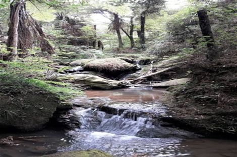 Photo of property in 22 Willoughby Street, Paeroa, 3600