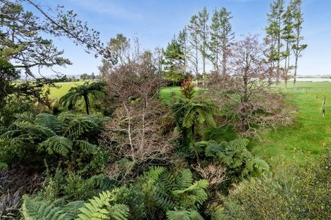 Photo of property in 262 Durham Road, Norfolk, Inglewood, 4388