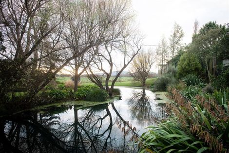 Photo of property in 52 New York Street, Martinborough, 5711