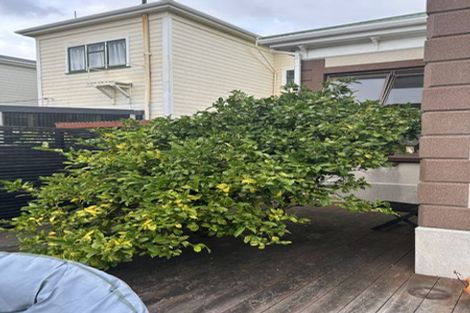 Photo of property in 9 Roy Street, Newtown, Wellington, 6021