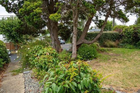 Photo of property in 11 Greenhill Avenue, Wakari, Dunedin, 9010