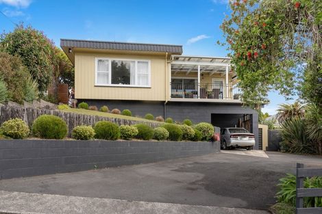 Photo of property in 18 Terrace Street, Putaruru, 3411