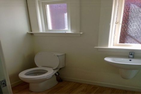 Photo of property in 34 Tweed Street, Roslyn, Dunedin, 9010