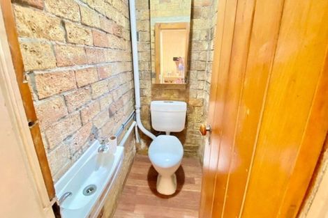 Photo of property in 22 Norwich Street, Eden Terrace, Auckland, 1021