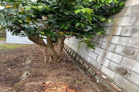 Photo of property in 24 Aotea Road, Glen Eden, Auckland, 0602