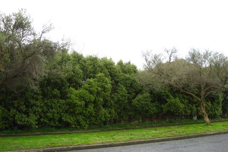 Photo of property in 20 Hardy Street, Georgetown, Invercargill, 9812