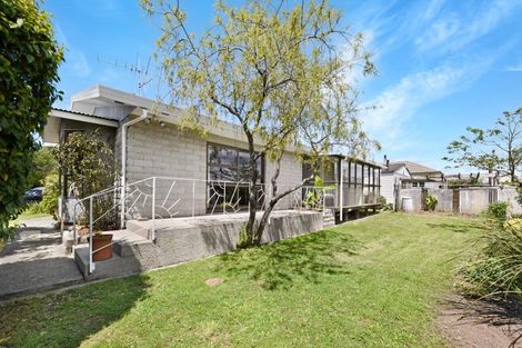 Photo of property in 10 Linden Court, Richmond, 7020