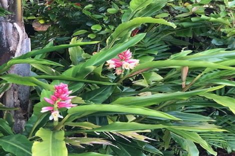 Photo of property in 20b Cambridge Road, Riverhead, 0820