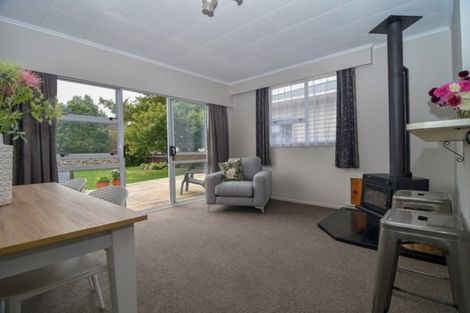 Photo of property in 27 Diamond Street, Carterton, 5713