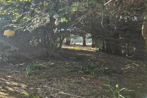 Photo of property in 565 Birch Road East, Herbertville, Dannevirke, 4970