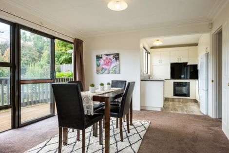 Photo of property in 95 Opoho Road, Opoho, Dunedin, 9010