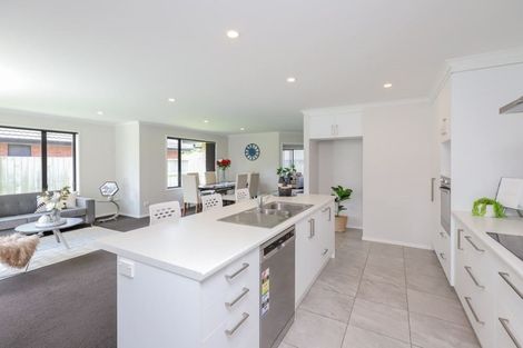 Photo of property in 276 Dixon Road, Fitzroy, Hamilton, 3206