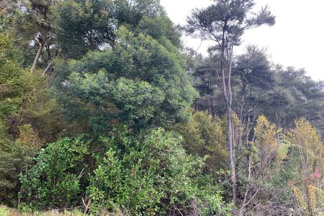 Photo of property in 434 Pahi Road, Pahi, Paparoa, 0571