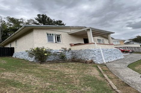 Photo of property in 6 Elizabeth Street, Te Kuiti, 3910