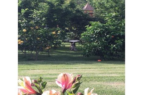 Photo of property in 303 Puketotara Road, Waipapa, Kerikeri, 0295