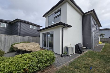 Photo of property in 166 John Burke Drive, Aotea, Porirua, 5024