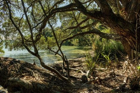 Photo of property in 331 Pahoia Road, Whakamarama, 3172