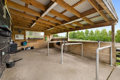 Photo of property in 39 Glenmore Road, Coatesville, Albany, 0793