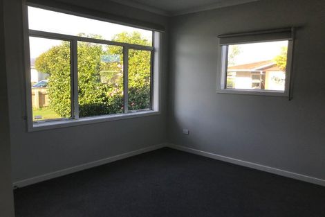 Photo of property in 137 Winchester Street, Levin, 5510