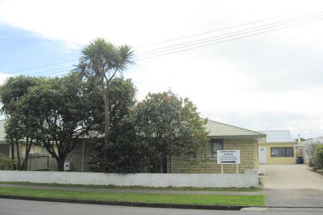 Photo of property in 22 Devon Street, Levin, 5510
