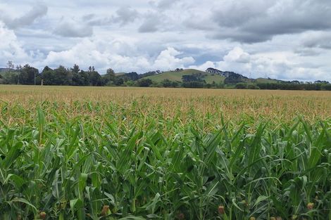 Photo of property in 927 Taniwha Road, Waerenga, Te Kauwhata, 3781