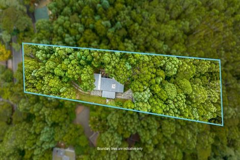 Photo of property in 30 Kopiko Road, Titirangi, Auckland, 0604