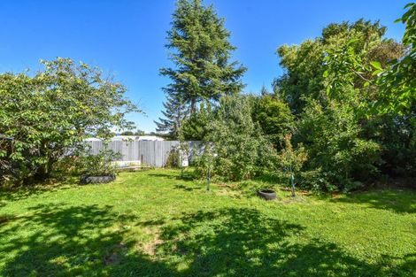 Photo of property in 8 Kent Street, Carterton, 5713