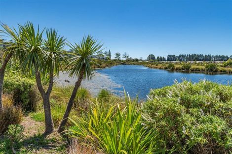 Photo of property in 114 Te Rito Street, Marshland, Christchurch, 8083