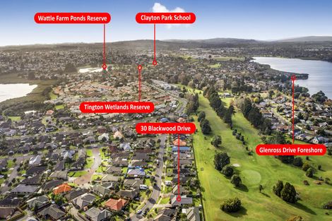 Photo of property in 30 Blackwood Drive, Wattle Downs, Auckland, 2103