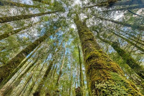 Photo of property in 150 Atarau Road, Atarau, Blackball, 7871