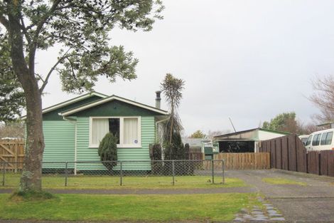 Photo of property in 17 Tureiti Place, Turangi, 3334