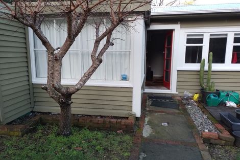 Photo of property in 24 Clunie Avenue, Raumati South, Paraparaumu, 5032