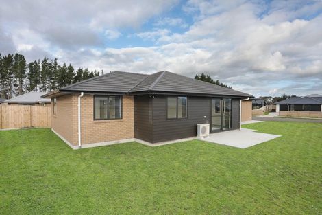 Photo of property in 49 Hereford Street, Marton, 4710