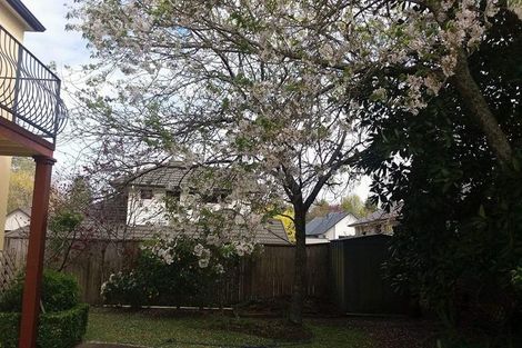 Photo of property in 21 Addison Street, Leamington, Cambridge, 3432