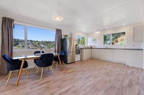 Photo of property in 51 Buccleugh Street, North East Valley, Dunedin, 9010