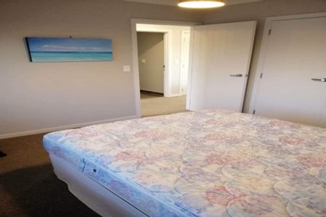 Photo of property in 91 Jimmy Adams Terrace, Lincoln, 7608