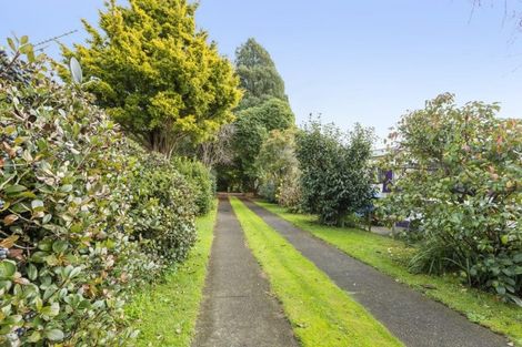Photo of property in 49 Sheffield Street, Matamata, 3400